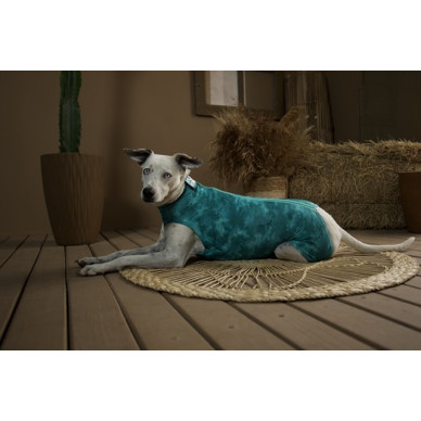 Îmbrăcăminte de Protecție „Dry Light Supreme Dog” Verde Mărimea 10 (21 – 27 kg) UV 50 plus, Antimicrobiană, Dry